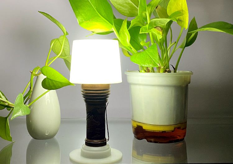 Lumintop FW21 PRO FW3A Diffuser Main image